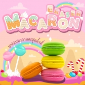 Macaron Eraser (4pcs set)